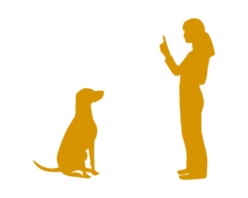Dog Obedience Training